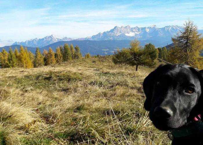 Apartman Haus Bergsonne Flachau